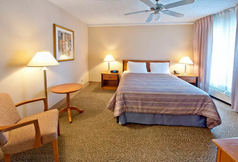 فندق Four Points by Sheraton Montreal Centre Ville