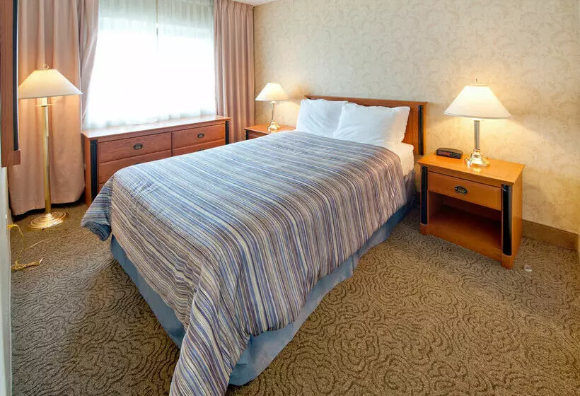 فندق Four Points by Sheraton Montreal Centre Ville