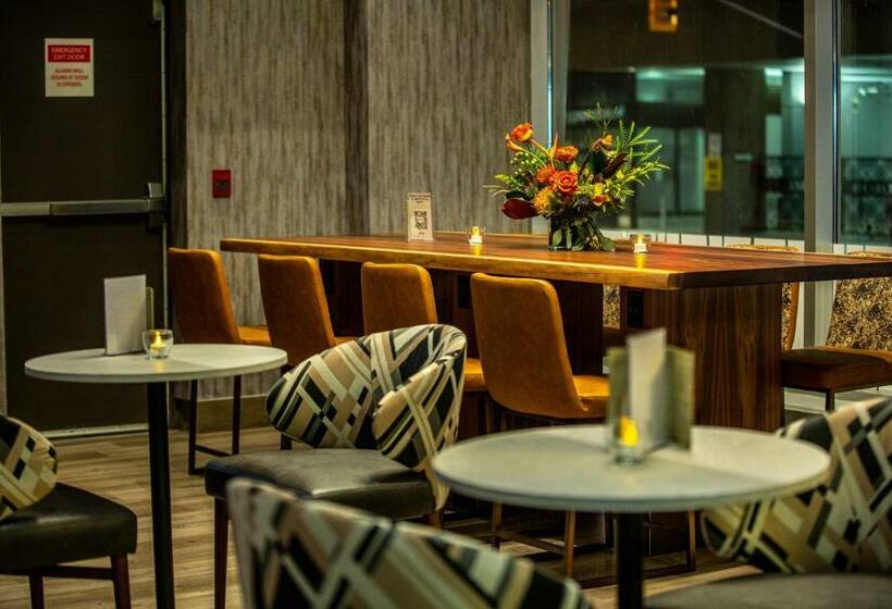 فندق Holiday Inn Toronto Downtown Centre, An Ihg