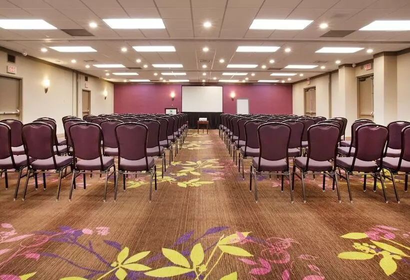 Hotel Holiday Inn Toronto International Airport, An Ihg