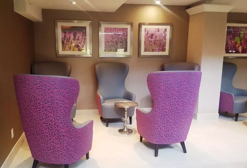 Hotel Holiday Inn Toronto International Airport, An Ihg