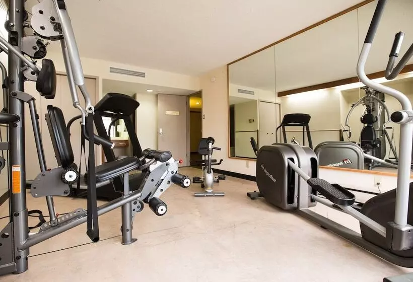 酒店 Hôtels Gouverneur Troisrivières