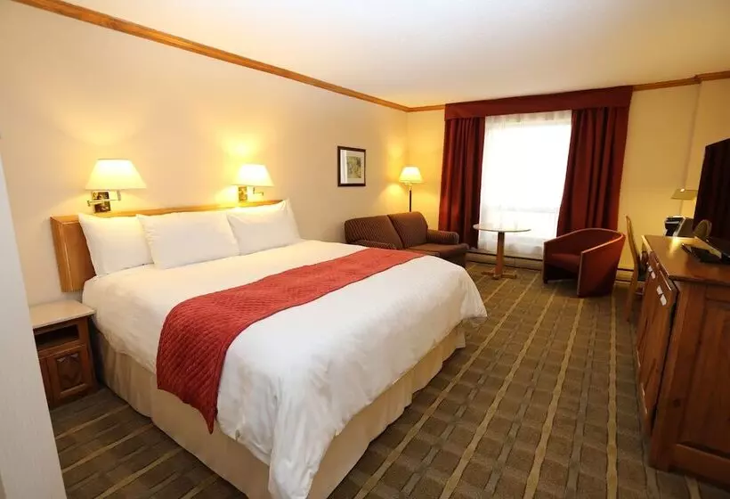 酒店 Hôtels Gouverneur Troisrivières