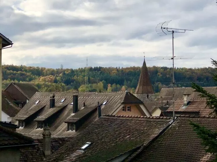 בית מלון כפרי Marco Polo Business Apartments Sonne Bremgarten