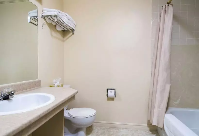 Hotel Mount Peyton Resort & Conference Centre