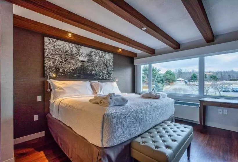 酒店 Old Orchard Inn