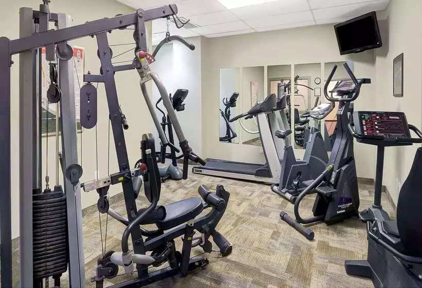 호텔 Ramada By Wyndham Niagara Falls/fallsview