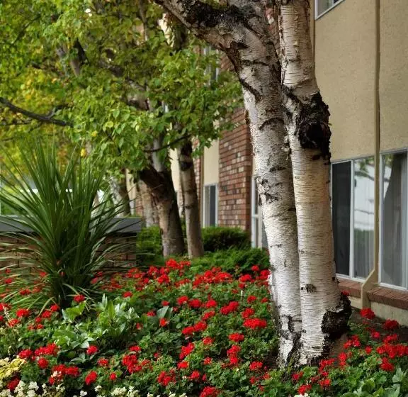 Royal Scot Hotel & Suites