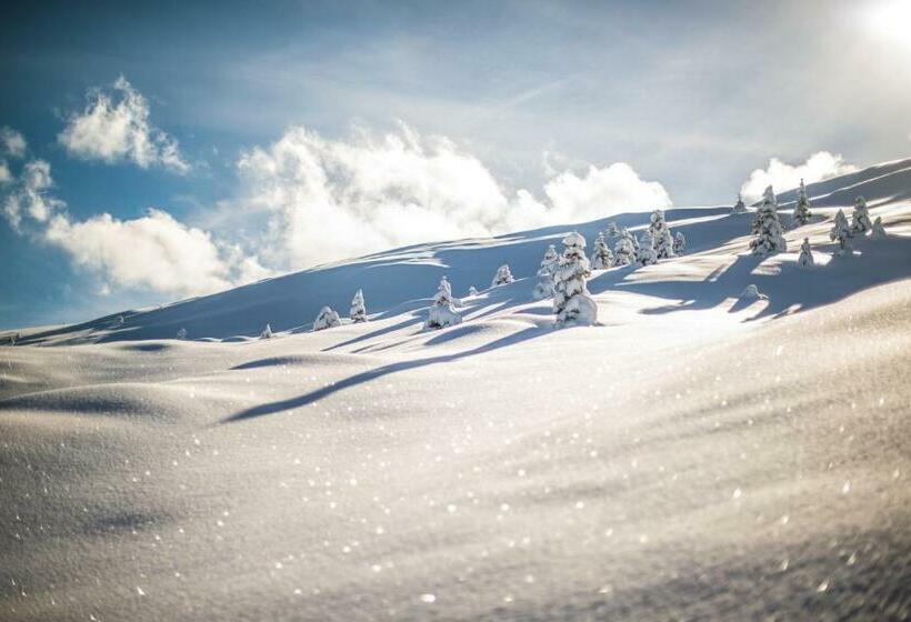 هتل Streiff Superior