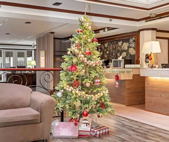 Отель The Bedford Regency