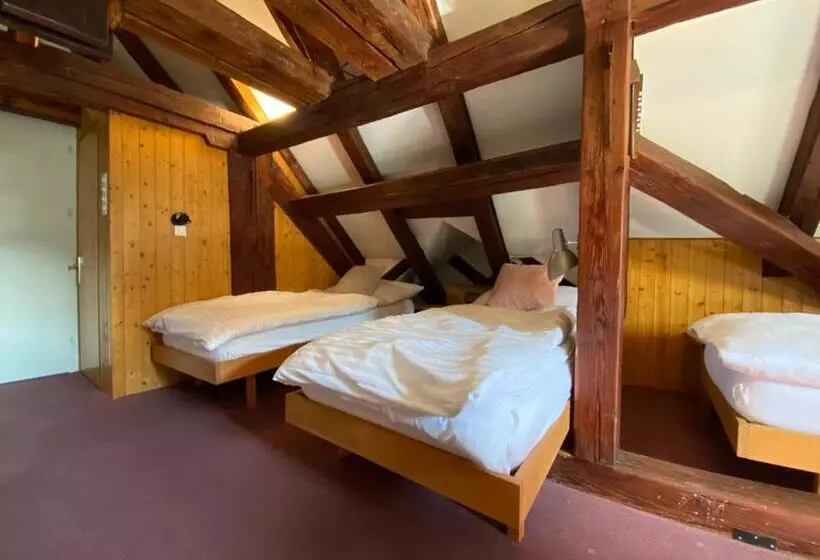 Hotel Untertor By Maier Self Check In