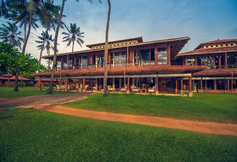 リゾートホテル Ranweli Holiday Village