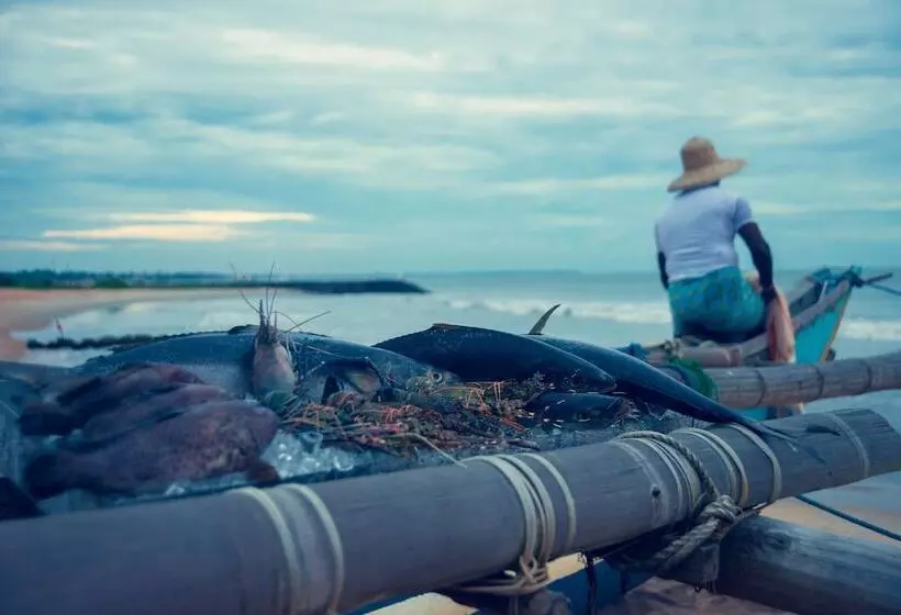 渡假胜地 Ranweli Holiday Village