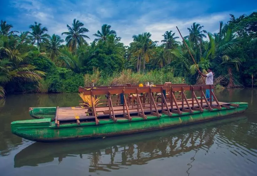 渡假胜地 Ranweli Holiday Village