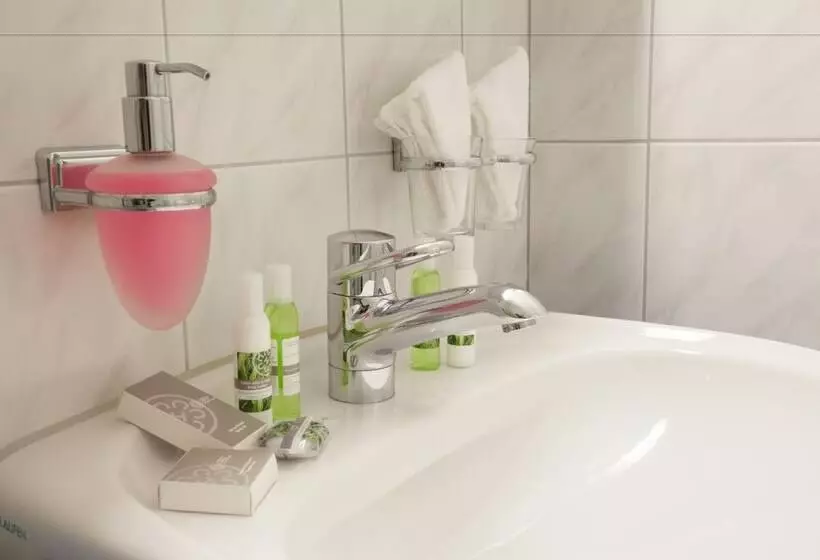 Garni Hotel Frohburg