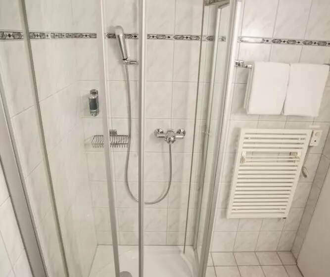 Garni Hotel Frohburg