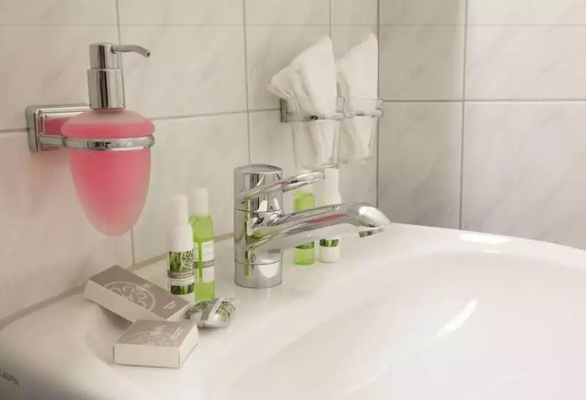 Garni Hotel Frohburg