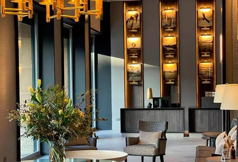 هتل Cabo De Hornos