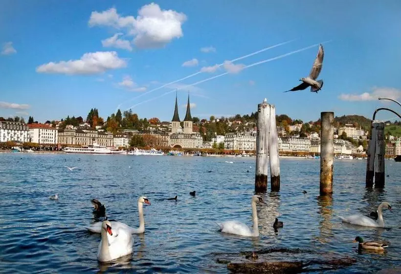 Szálloda Münzgasse Self Check In