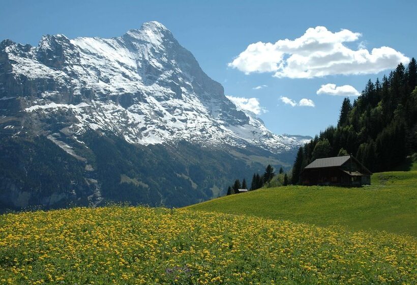 בית מלון כפרי Silberhorn   Residences & Spa Wengen