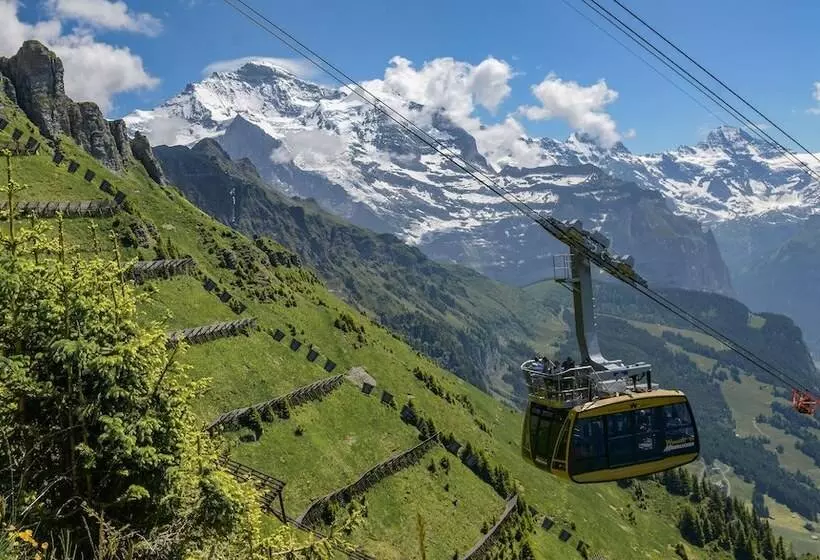 Отель Silberhorn   Residences & Spa Wengen