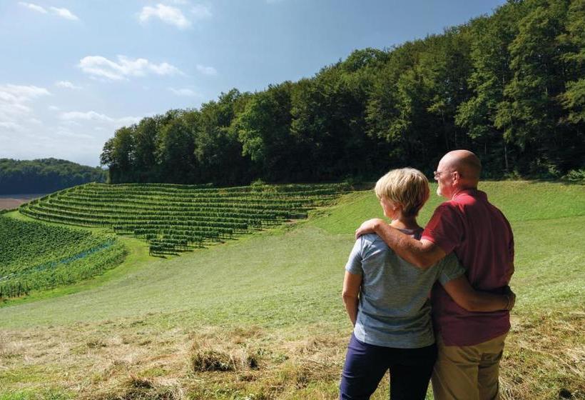 هتل Park Bad Zurzach