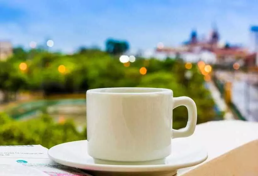 فندق Dorado Plaza Centro Historico