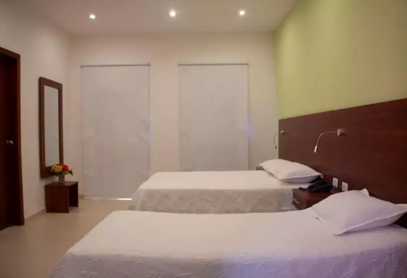 فندق Dorado Plaza Centro Historico