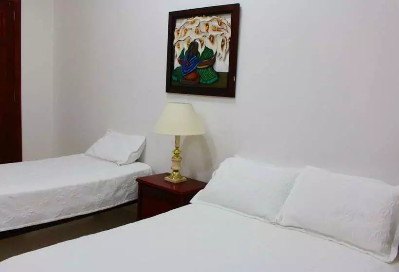 فندق Dorado Plaza Centro Historico