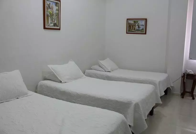 فندق Dorado Plaza Centro Historico