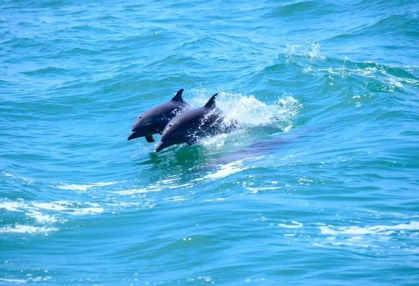 ホテル La Mariposa