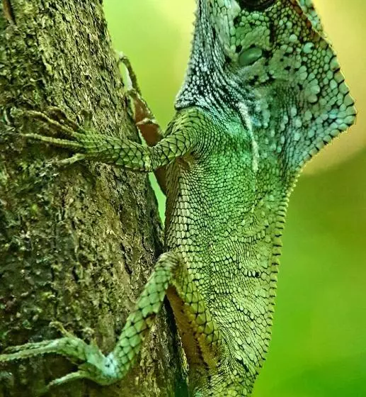 ホテル La Mariposa