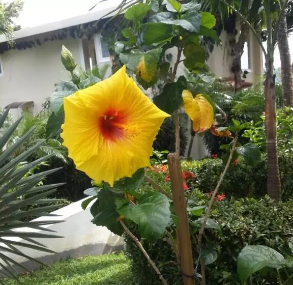 ホテル La Mariposa