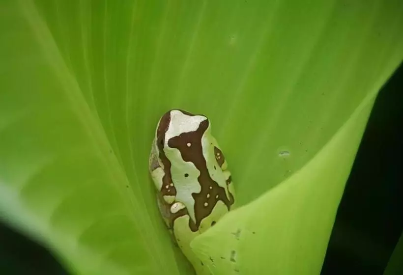 ホテル La Mariposa