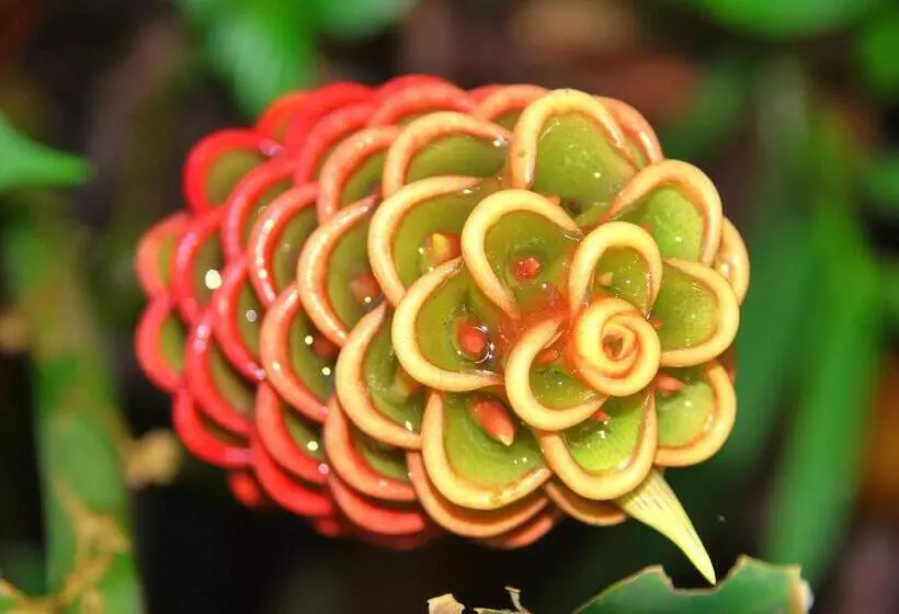 ホテル La Mariposa