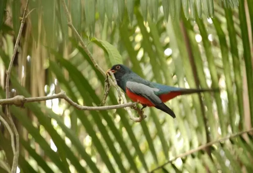 ホテル La Mariposa