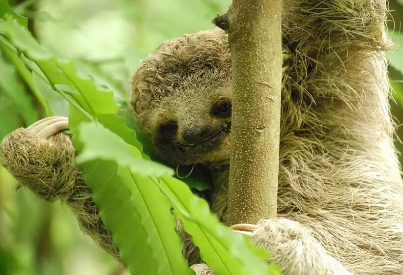 ホテル La Mariposa