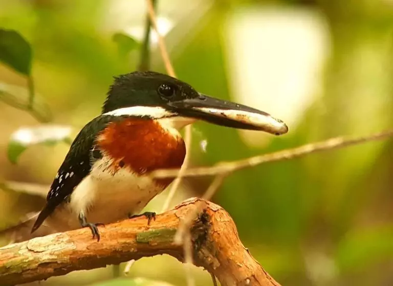 ホテル La Mariposa