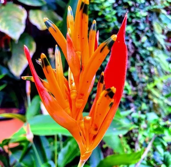 ホテル La Mariposa