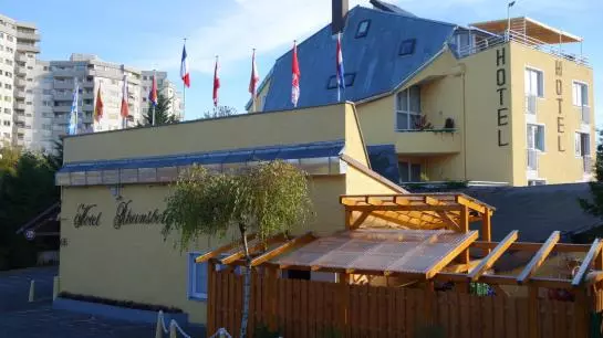 هتل Rheinsberg Am See