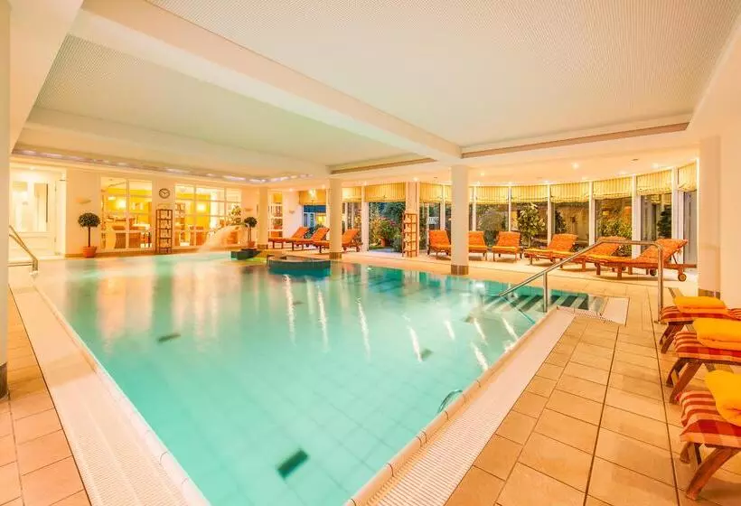 Birke, Ringhotel Kiel