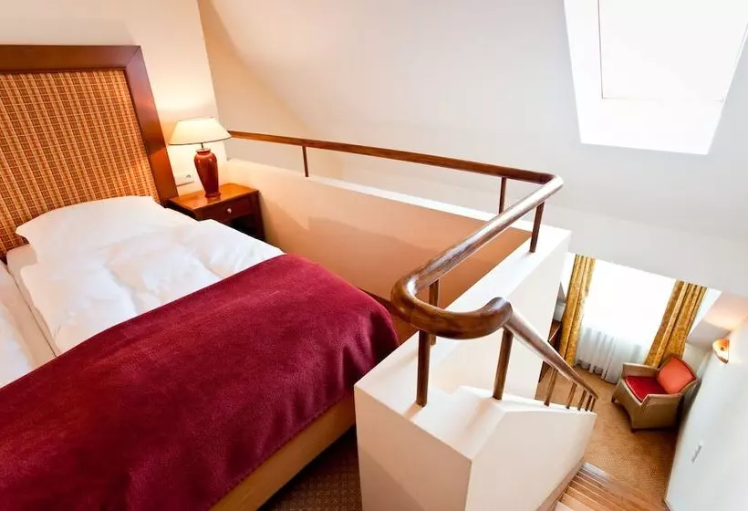 Birke, Ringhotel Kiel