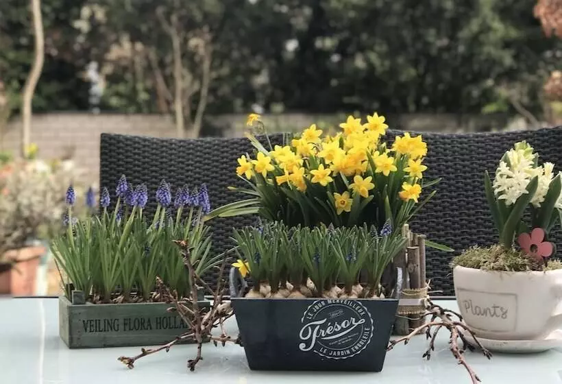 هتل Cascade Superior