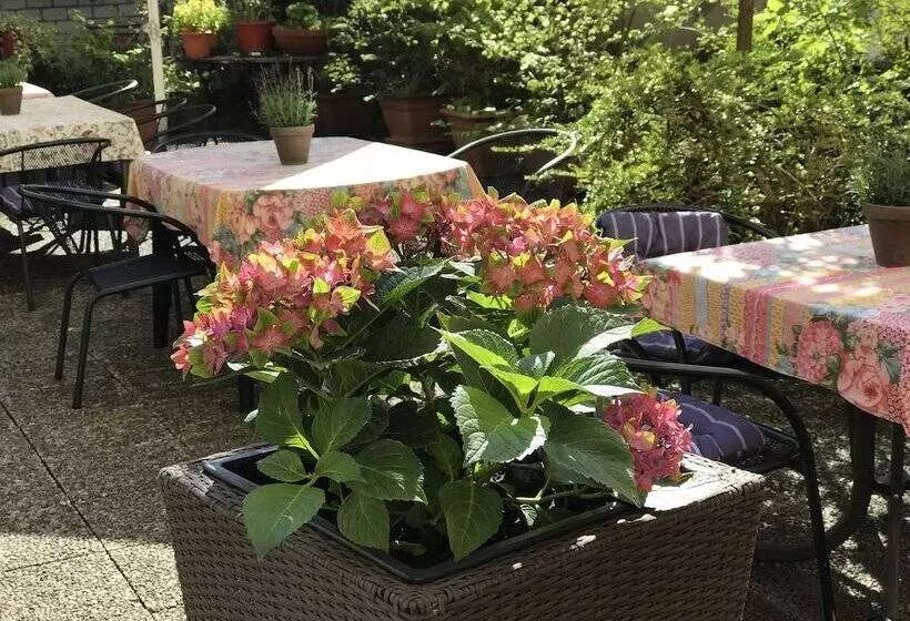 هتل Cascade Superior