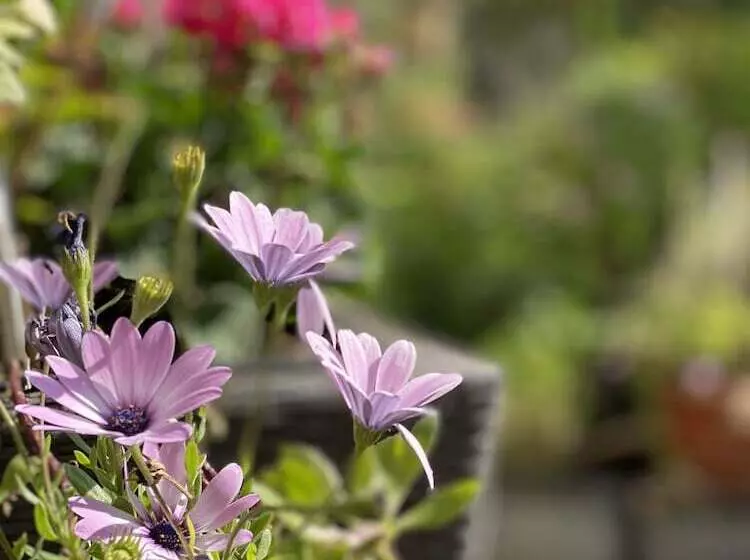 هتل Cascade Superior