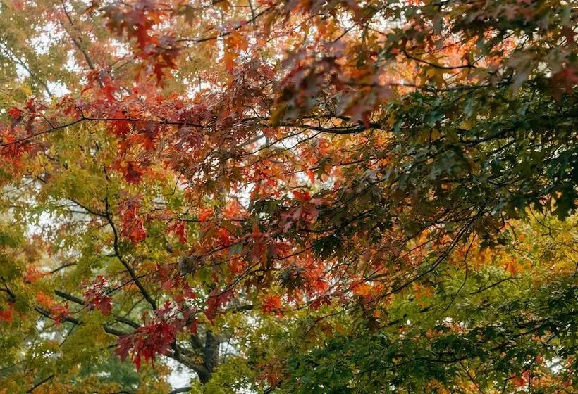 Romantik Hotel Jagdhaus Eiden Am See