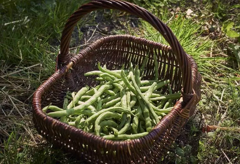 Romantik Hotel Jagdhaus Eiden Am See