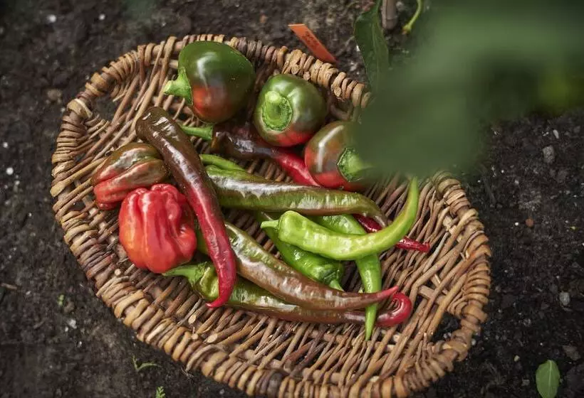 Romantik Hotel Jagdhaus Eiden Am See