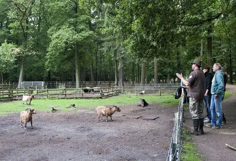 Vila Vita Burghotel Dinklage