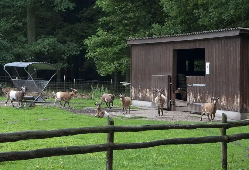 Vila Vita Burghotel Dinklage